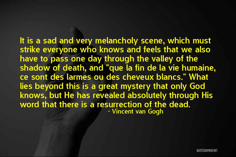 La Vie Quotes By Vincent Van Gogh