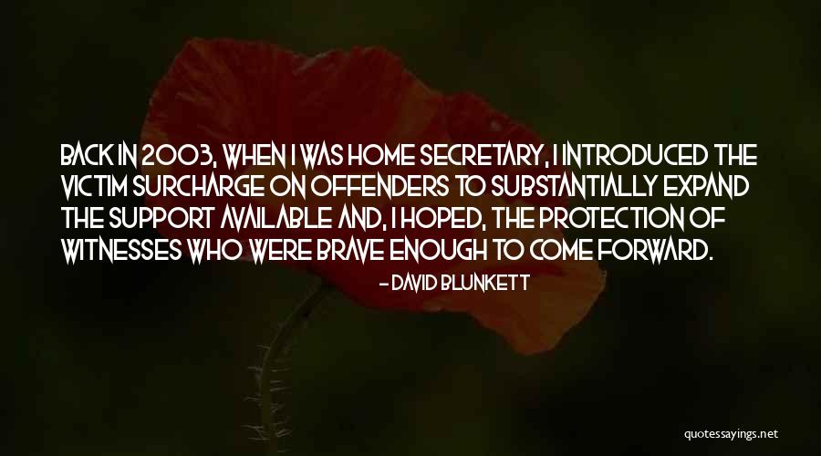 Laakkonen Fiksudiili Quotes By David Blunkett Laakkonen Fiksudiili Quotes By David Blunkett