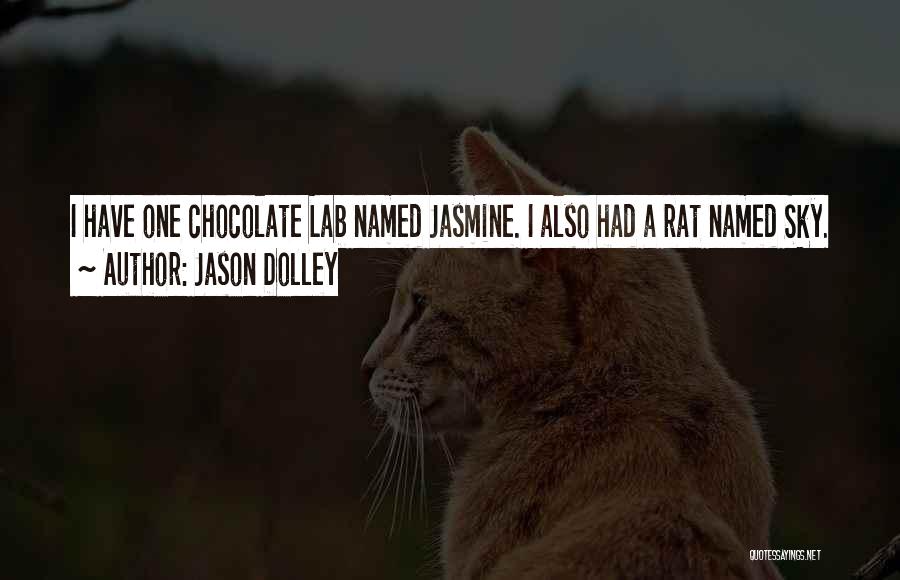 Lab Rat Quotes By Jason Dolley