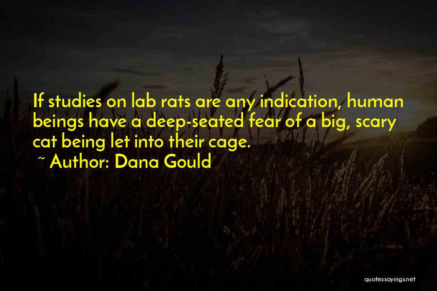 Lab Rats Quotes By Dana Gould