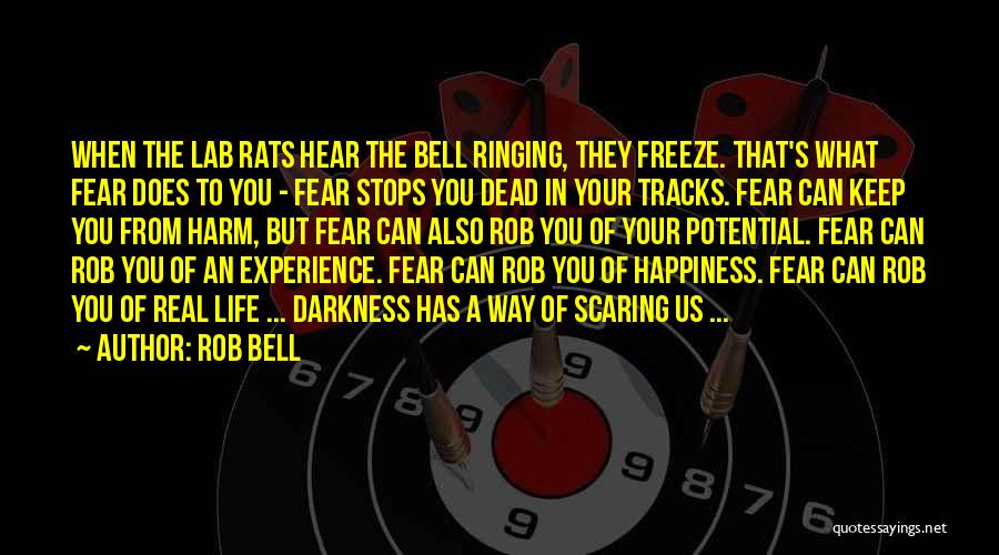 Lab Rats Quotes By Rob Bell