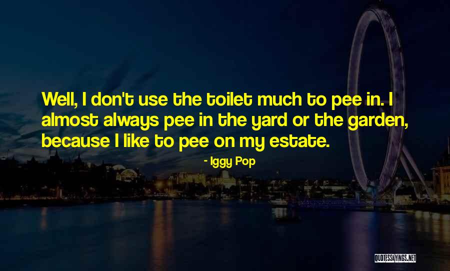 Labareda De Fogo Quotes By Iggy Pop Labareda De Fogo Quotes By Iggy Pop