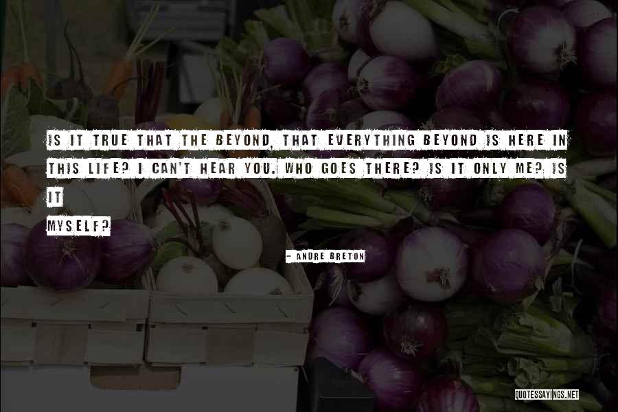 Labeler Code Quotes By Andre Breton Labeler Code Quotes By Andre Breton