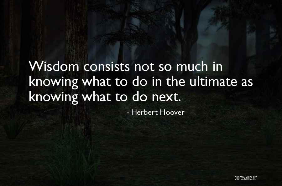 Labella Wynantskill Quotes By Herbert Hoover Labella Wynantskill Quotes By Herbert Hoover