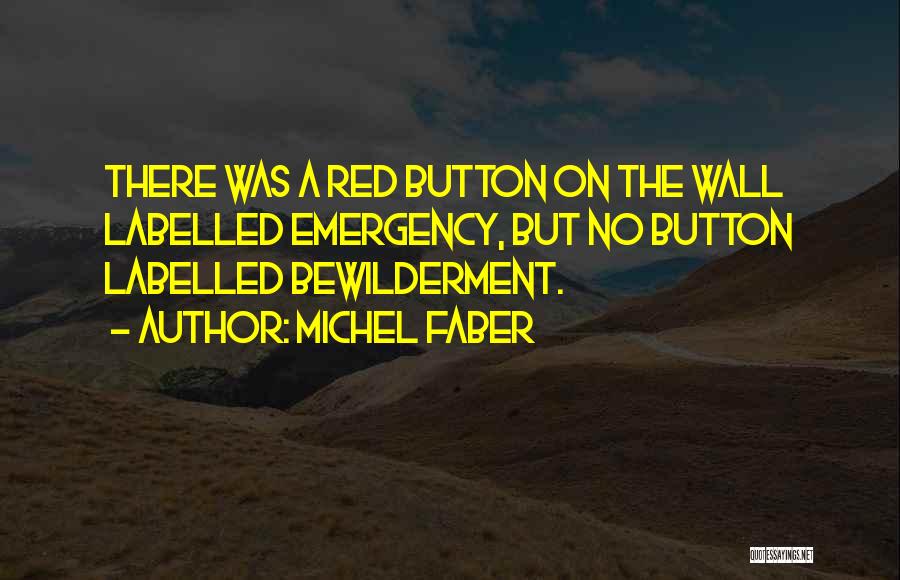 Labelled Quotes By Michel Faber