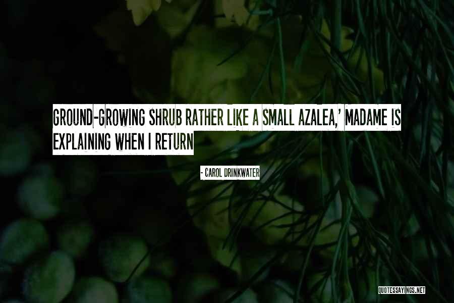 Labenz Photography Quotes By Carol Drinkwater Labenz Photography Quotes By Carol Drinkwater