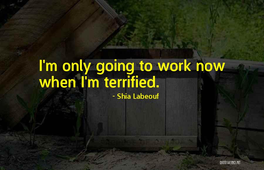 Labeouf Quotes By Shia Labeouf Labeouf Quotes By Shia Labeouf