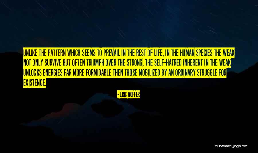 Labidi Viande Quotes By Eric Hoffer Labidi Viande Quotes By Eric Hoffer