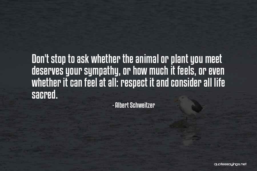 Labirentler Ile Quotes By Albert Schweitzer Labirentler Ile Quotes By Albert Schweitzer