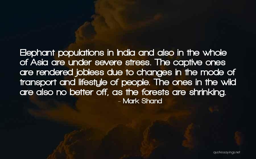 Labirinto Della Quotes By Mark Shand Labirinto Della Quotes By Mark Shand