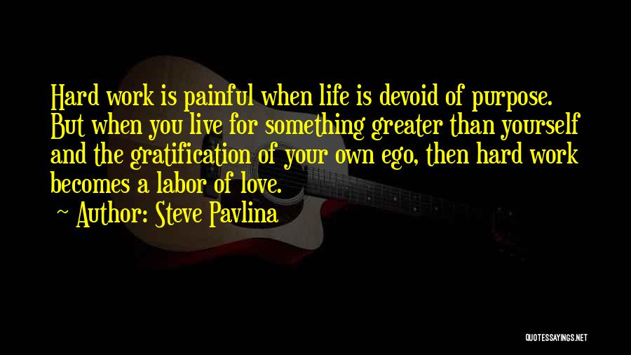 Labor Of Love Quotes By Steve Pavlina