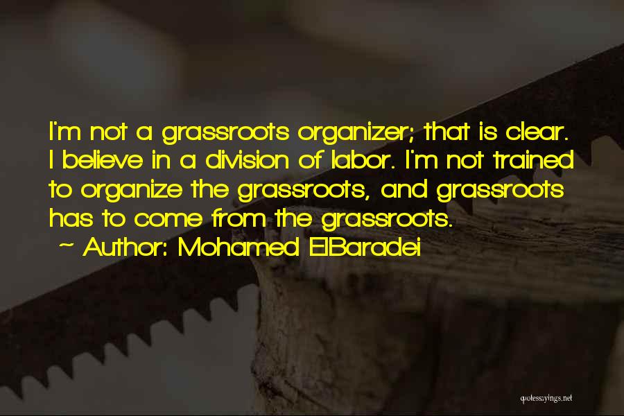 Labor Organizer Quotes By Mohamed ElBaradei