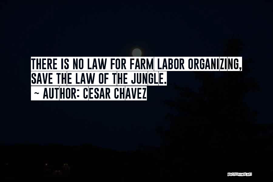 Labor Organizing Quotes By Cesar Chavez