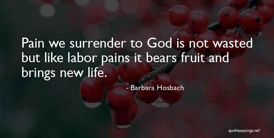 Labor Pain Quotes By Barbara Hosbach Labor Pain Quotes By Barbara Hosbach