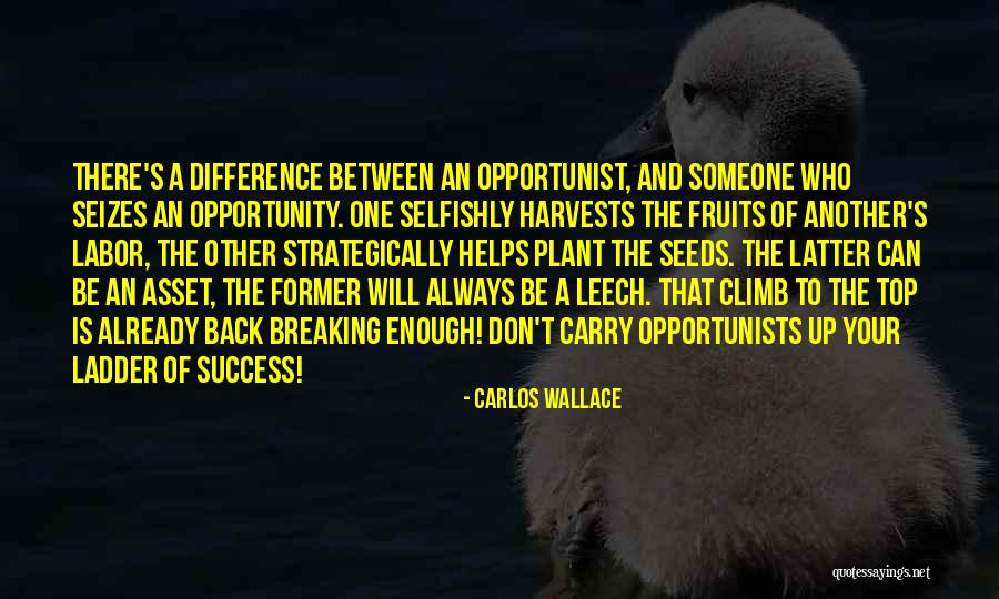 Labor Quotes Quotes By Carlos Wallace Labor Quotes Quotes By Carlos Wallace