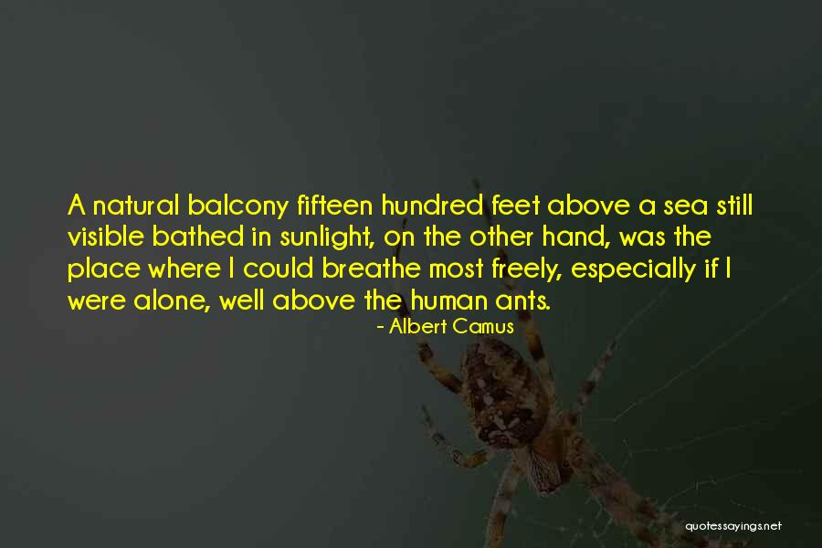 Labor To Hang Quotes By Albert Camus Labor To Hang Quotes By Albert Camus