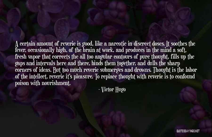 Labor To Replace Quotes By Victor Hugo Labor To Replace Quotes By Victor Hugo