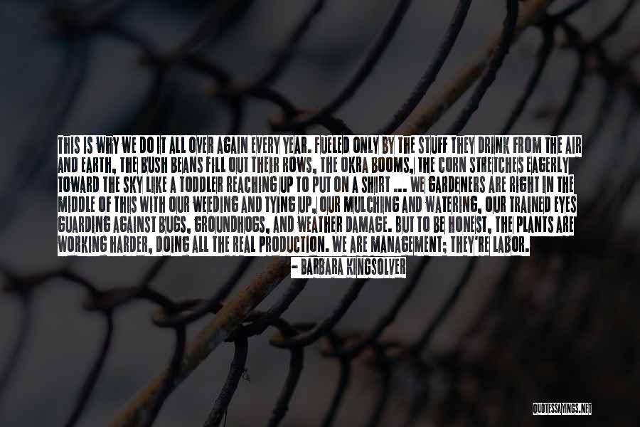 Labor Vs Management Quotes By Barbara Kingsolver Labor Vs Management Quotes By Barbara Kingsolver