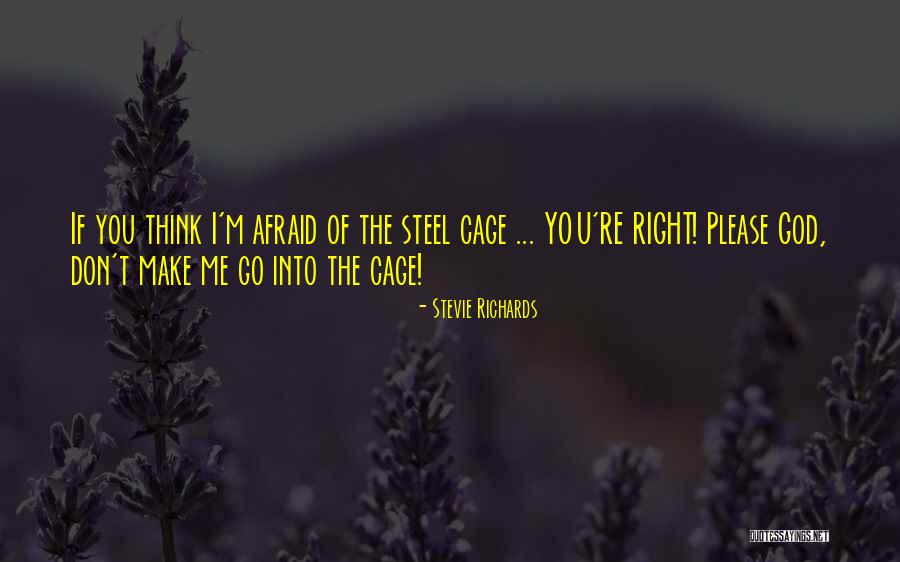 Laboratoires Ketterthill Quotes By Stevie Richards Laboratoires Ketterthill Quotes By Stevie Richards