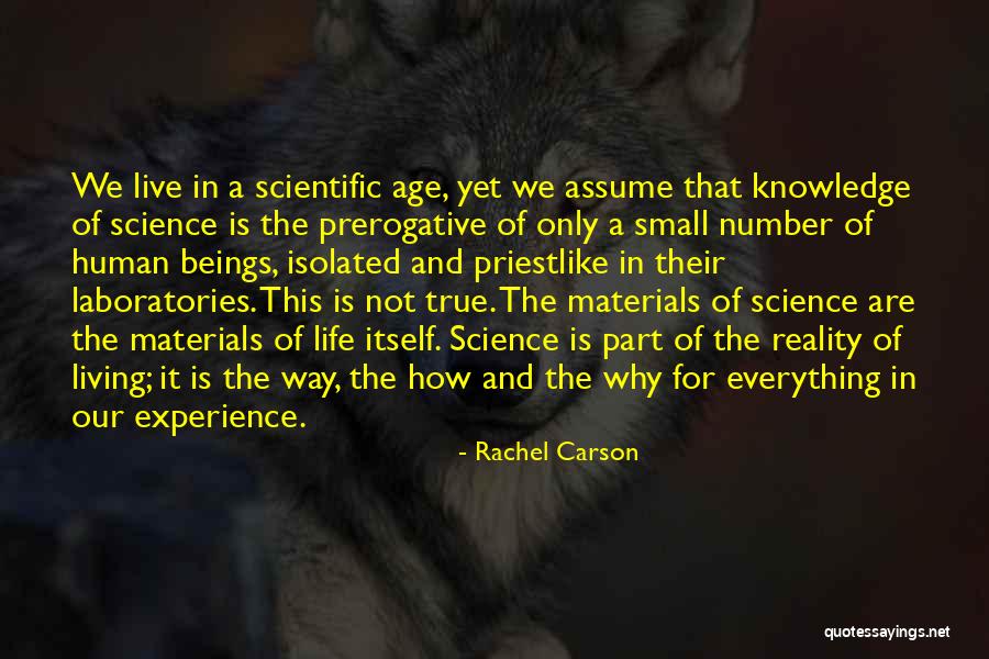 Laboratories Materials Quotes By Rachel Carson Laboratories Materials Quotes By Rachel Carson