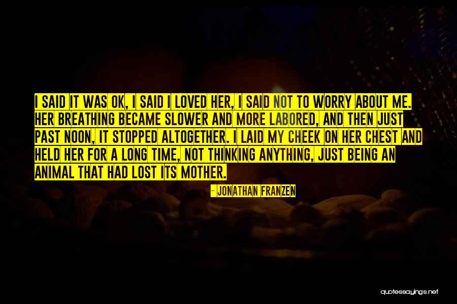 Labored Breathing Quotes By Jonathan Franzen Labored Breathing Quotes By Jonathan Franzen