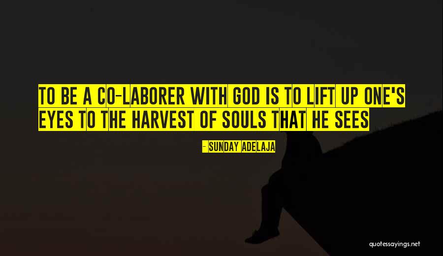 Laborer Quotes By Sunday Adelaja Laborer Quotes By Sunday Adelaja