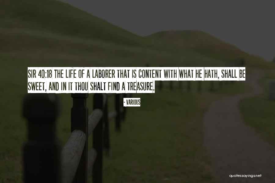 Laborer Quotes By Various Laborer Quotes By Various