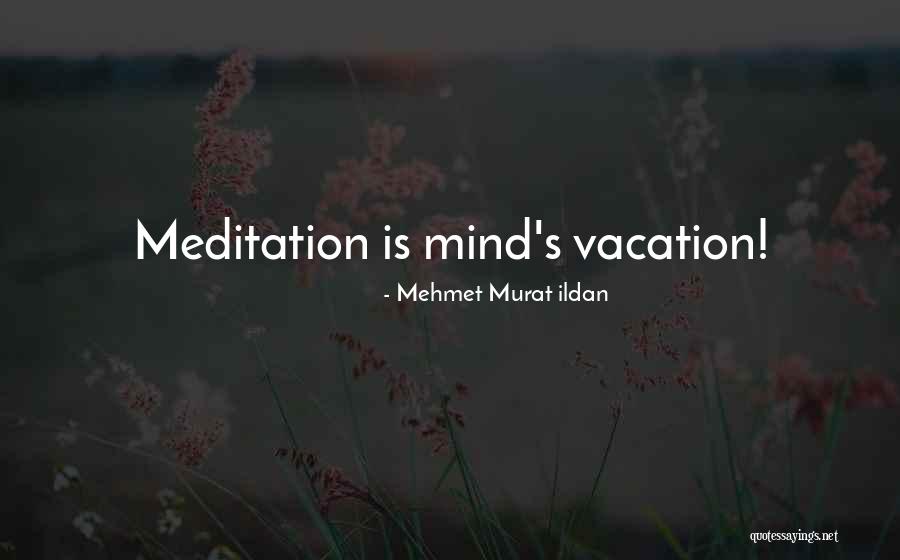 Laboriosidad Como Quotes By Mehmet Murat Ildan Laboriosidad Como Quotes By Mehmet Murat Ildan