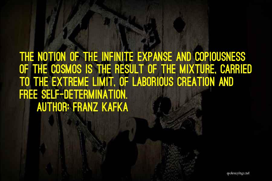 Laborious Quotes By Franz Kafka