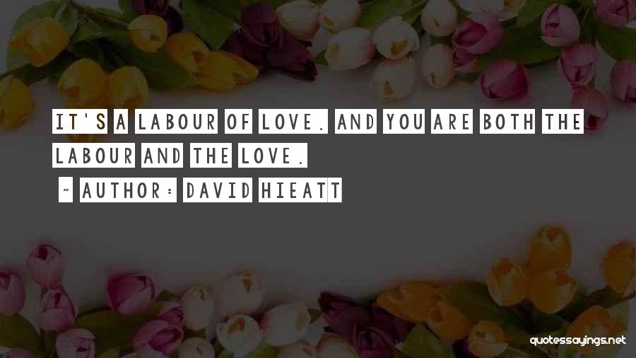 Labour Of Love Quotes By David Hieatt