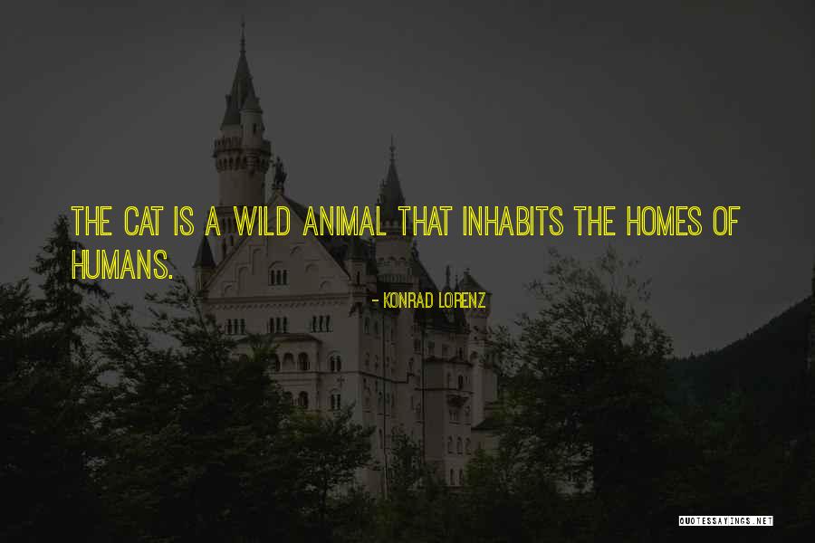 Labovirtual Quotes By Konrad Lorenz Labovirtual Quotes By Konrad Lorenz