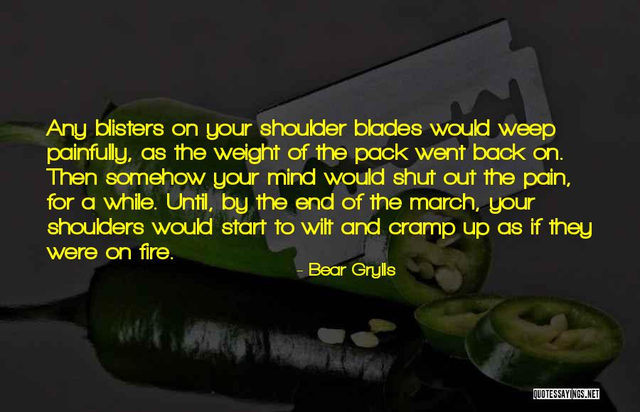 Labradoodle Puppies Quotes By Bear Grylls Labradoodle Puppies Quotes By Bear Grylls