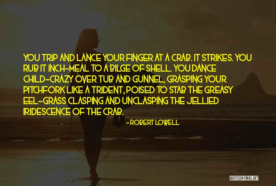 Labradoodles For Sale Quotes By Robert Lowell Labradoodles For Sale Quotes By Robert Lowell