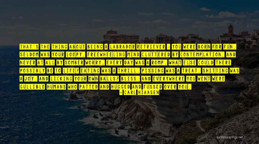 Labrador Dogs Quotes By Carl Hiaasen Labrador Dogs Quotes By Carl Hiaasen