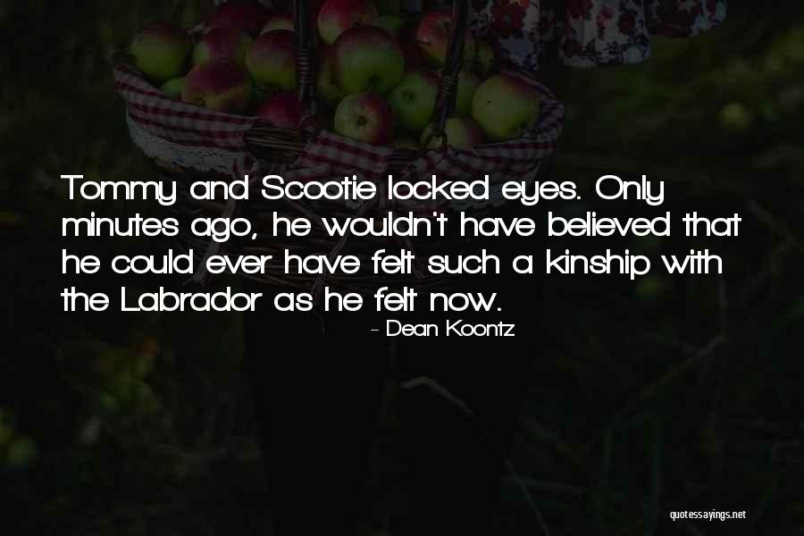 Labrador Dogs Quotes By Dean Koontz Labrador Dogs Quotes By Dean Koontz