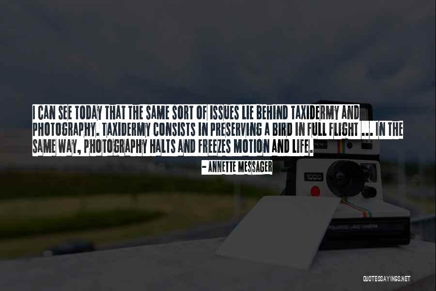 Labush Music Music Videos Quotes By Annette Messager Labush Music Music Videos Quotes By Annette Messager