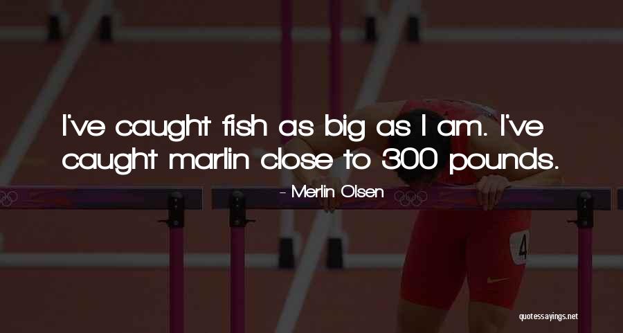 Labuta Priberam Quotes By Merlin Olsen Labuta Priberam Quotes By Merlin Olsen