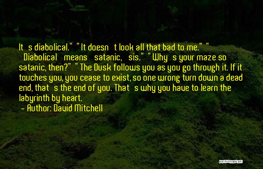 Labyrinth Maze Quotes By David Mitchell