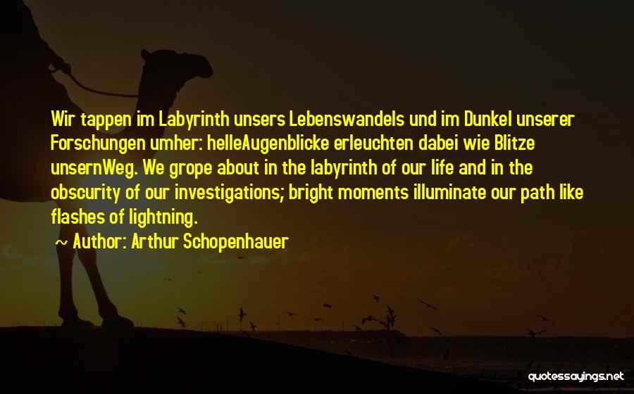 Labyrinth Quotes By Arthur Schopenhauer