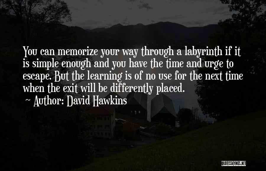 Labyrinth Quotes By David Hawkins