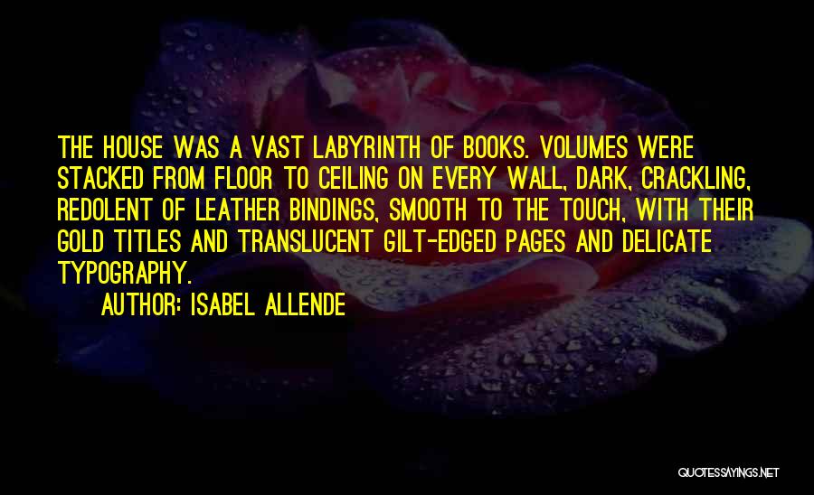 Labyrinth Quotes By Isabel Allende