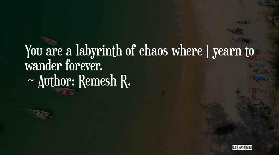 Labyrinth Quotes By Remesh R.