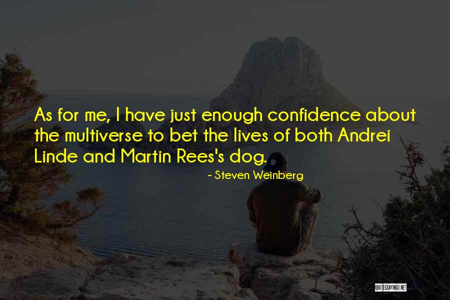 Labyrinthian Ceremonial Door Quotes By Steven Weinberg Labyrinthian Ceremonial Door Quotes By Steven Weinberg