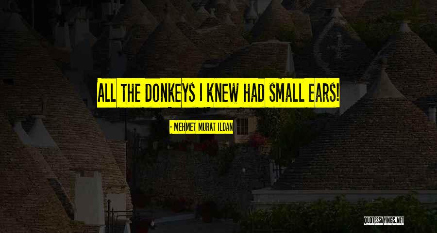Lacaille Salon Quotes By Mehmet Murat Ildan Lacaille Salon Quotes By Mehmet Murat Ildan