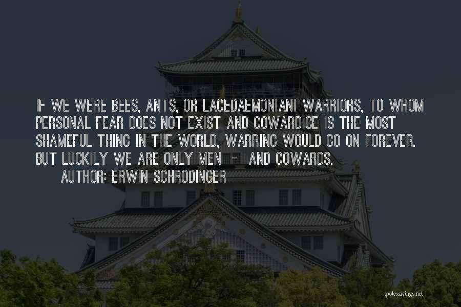 Lacedaemonian Quotes By Erwin Schrodinger