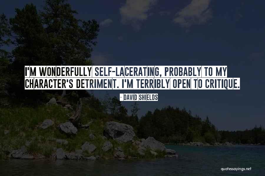 Lacerating Quotes By David Shields Lacerating Quotes By David Shields