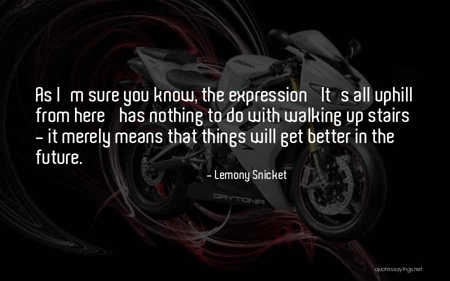 Lacerisesurlegateau Quotes By Lemony Snicket Lacerisesurlegateau Quotes By Lemony Snicket