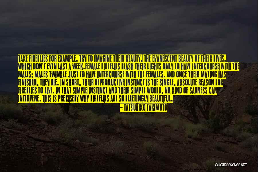 Lacerna Roman Quotes By Tatsuhiko Takimoto Lacerna Roman Quotes By Tatsuhiko Takimoto