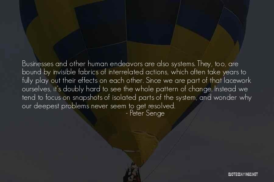 Lacework Quotes By Peter Senge Lacework Quotes By Peter Senge