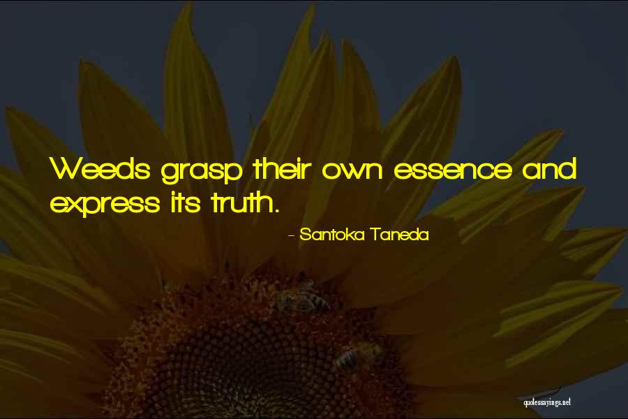 Lachasse Btra Quotes By Santoka Taneda